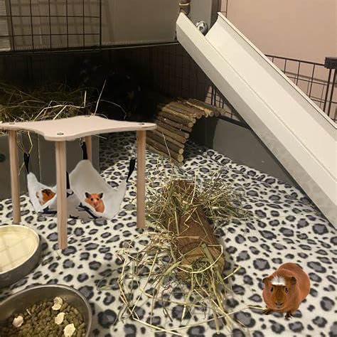 Guinea Pig Hideout Hammock with Wooden Stand, Guinea Pig Accessories for Cage, Small Animal Hammock Toys for Guinea Pigs Piggies Dwarf Rabbit Chinchilla Ferrets Rat Hamster