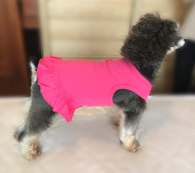 Pet Clothes Small Dog Clothing Blank Color Sport Dress T-Shirts Tee Dresses Tanks Top for Small Size Female Dogs Summer Spring Pet Costumes 100% Cotton (M, Rose-red)