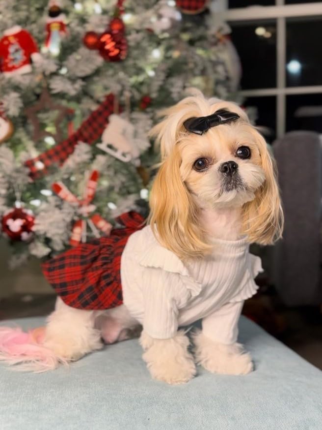 Fitwarm Knitted Plaid Sweater Dress, Christmas Outfit, Winter Clothes for Small Dogs & Cats, White & Red, Large