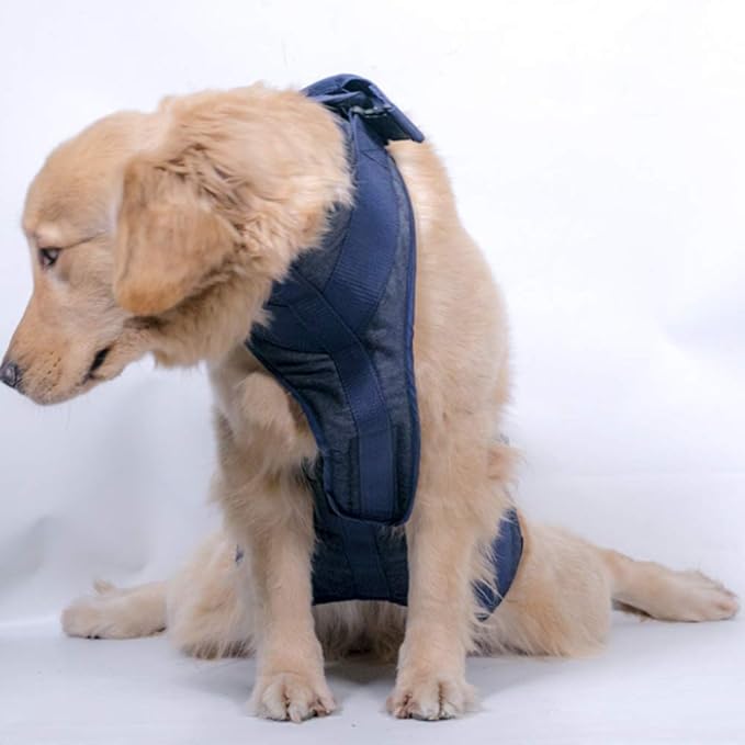 Dog Lift Harness, Pet Support & Rehabilitation Sling Lift Adjustable Vest Breathable Straps,Full Body Recovery Sling for Old, Disabled, Joint Injuries, Arthritis, Paralysis Dogs Walk,XS