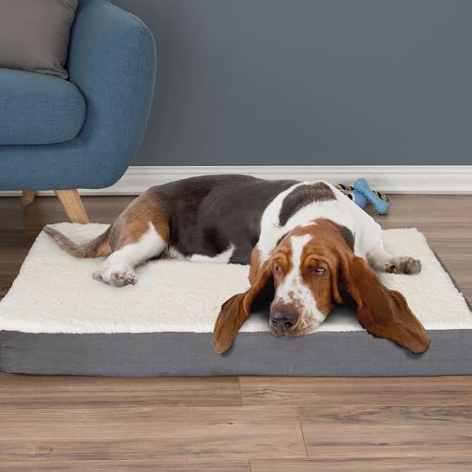 PETMAKER Orthopedic Gray Sherpa Top Pet Bed with Memory Foam and Removable Cover, 36" L X 27" W X 4" H, Large, Green