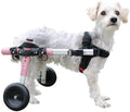 Walkin' Wheels Small Dog Wheelchair, Lightweight Dog Wheelchair for Back Legs, 15-25 lbs, for 9-11 inches Leg Height - Pink
