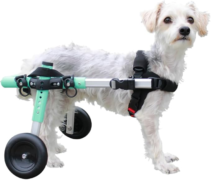 Walkin' Wheels Small Dog Wheelchair, Lightweight Dog Wheelchair for Back Legs, 11-14 lbs, for 7-8 inches Leg Height - Seafoam