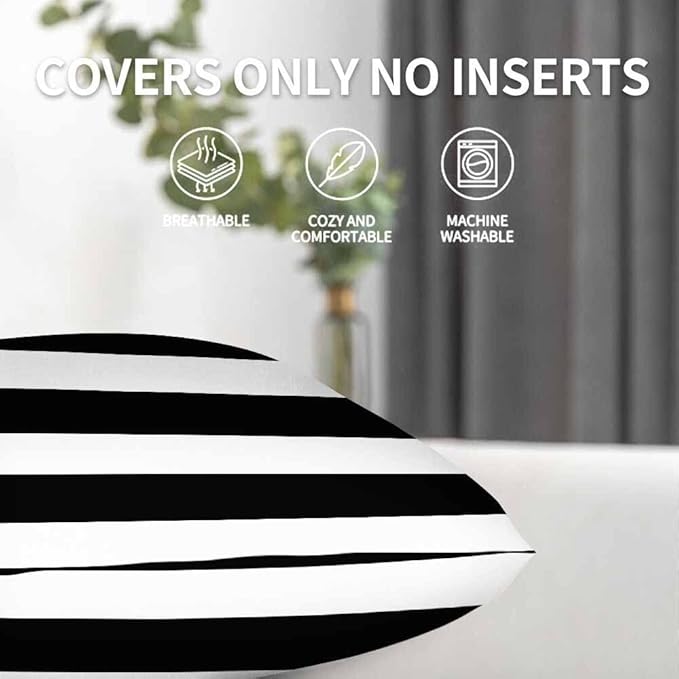 Decor Throw Pillow Covers Black White Striped Horizontal Seamless Pattern Pillow Cases for Bedroom Living Room Pack of 2 for Men Women 18X18Inch