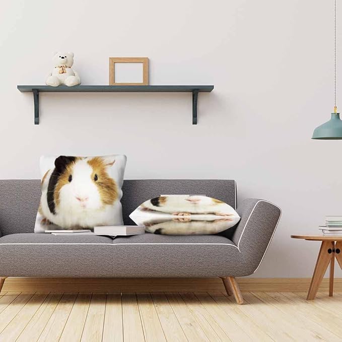 Throw Pillow Covers Funny Small Guinea Pig Sitting Pillowcase Decor for Room Bed Chair,18X8 Inch Set of 2