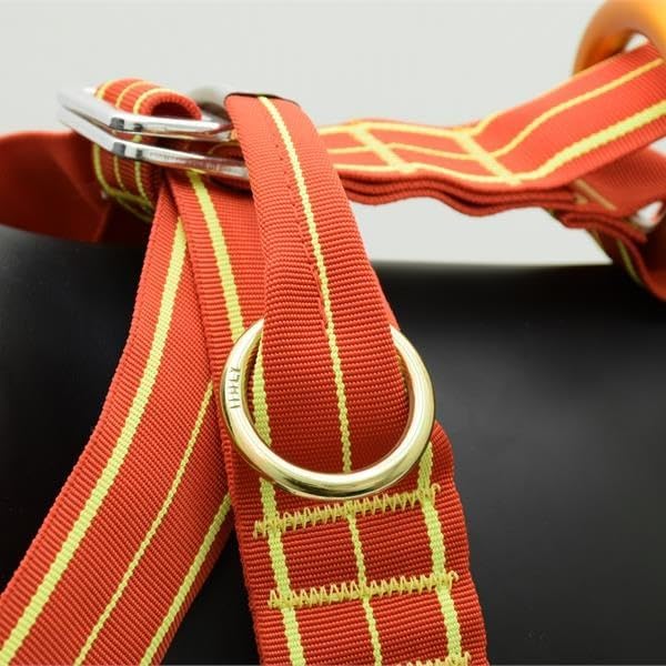 ALP Design Lait Dog Harness, Lightweight Floating Harness for Water Rescue, Training & Mobility Support, High-Strength Nylon, Polyester with Aluminum Buckles & Lifting Handle, Made in Italy