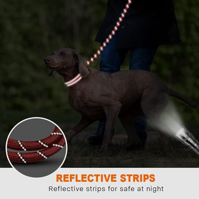 Taglory Rope Dog Leash 5 FT with Comfortable Padded Handle, Highly Reflective Threads Leash and Anti-Tangle Clip for Walking Medium Large Dogs, 1/2 inch, Red
