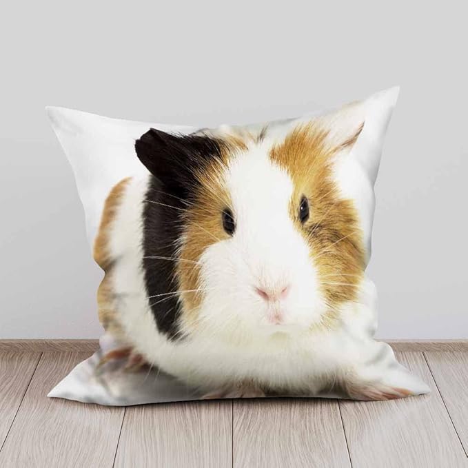 Throw Pillow Covers Funny Small Guinea Pig Sitting Pillowcase Decor for Room Bed Chair,18X8 Inch Set of 2