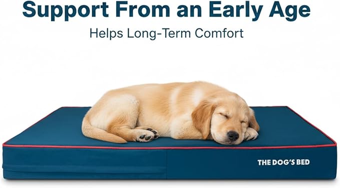 The Dog’s Bed Orthopedic Memory Foam Dog Bed for XXL Dogs, Waterproof Washable Cover, Anti-Slip Base, Calming Surface – CertiPUR-Certified Foam, Blue with Red Trim, 6 Inch Thick