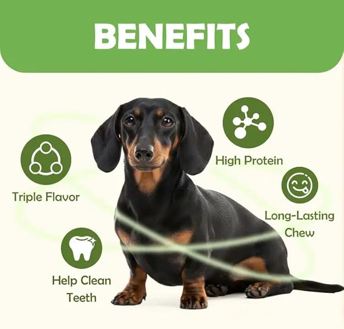 MON2SUN Dog Treats, 5 Inch Triple Flavor Chicken Pumpkin and Duck Wrapped Rawhide Sticks, Long Lasting Chews for Small and Medium Dogs, 10.58 oz (15 Count)