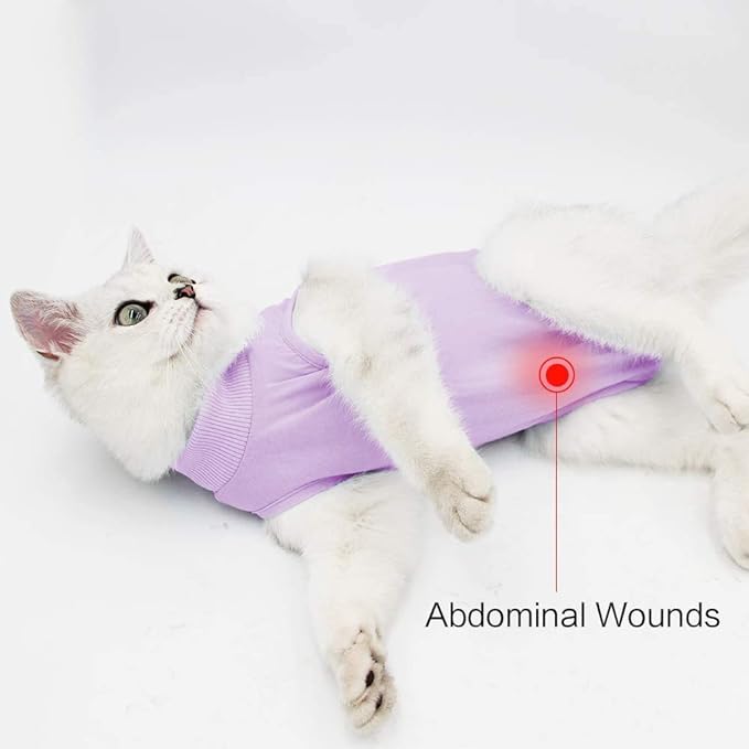 kzrfojy Cat Surgery Recovery Suit Cat Onesie for Cats After Surgery Spay Surgical Abdominal Wound Skin Diseases E-Collar Alternative Wear (Pruple-M)