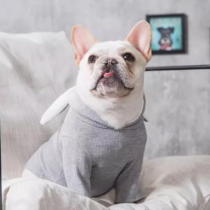 ANIAC Funny Small Dog Hoodies for Girl Boy Bunny Ears Dog Clothes Hooded Puppy Sweatshirt Cat Apparel Pet Costume for Easter Halloween Christmas Holiday (X-Large, Grey)