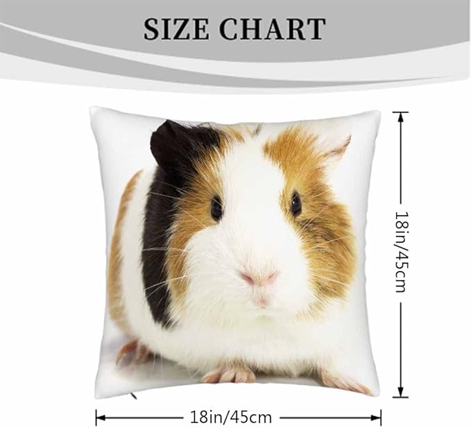 Throw Pillow Covers Funny Small Guinea Pig Sitting Pillowcase Decor for Room Bed Chair,18X8 Inch Set of 2