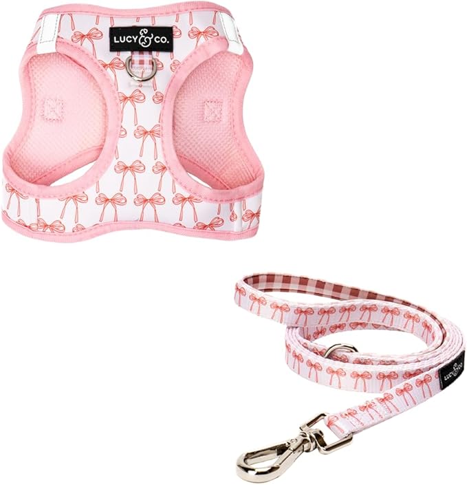 Lucy & Co. Take a Bow Step-in Cat Harness & Leash Bundle – Reflective, Breathable & Adjustable Harness for Cats, Kittens & Small Dogs, Lightweight & Secure and Dual Leash Clips – Small