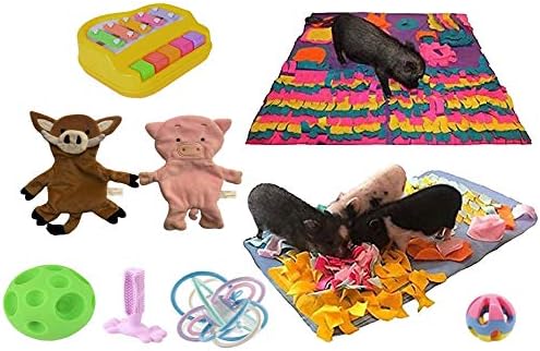 Piggy Poo and Crew Pig Box - Pet Box - Bundle of Toys Gift Box