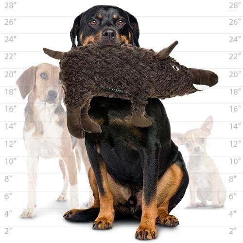 MIGHTY- Massive - Squeaker-Multiple Layers. Made Durable, Strong & Tough. Interactive Play Dog Toy (Tug, Toss & Fetch). Machine Washable & Floats. (Javelina, Massive 2 Pack)