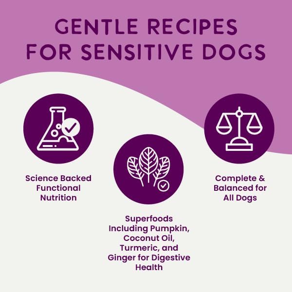Health Extension Digestive Support Variety Pack Wet Dog Food, (9 oz, Case of 6 Cans) – Complete & Balanced with Superfoods & Gravy for Optimal Digestion
