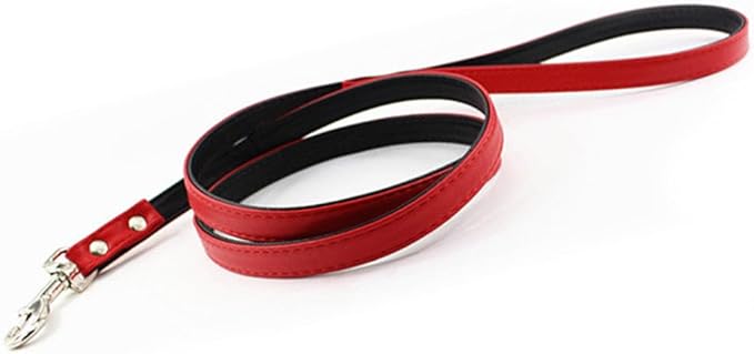 Metal Buckle Pet Collar and Leash Set with Bell Suit for Cats or Puppy Dogs White/Black/Red/Pink/Blue/Brown (M (Collar + Leash), Red)