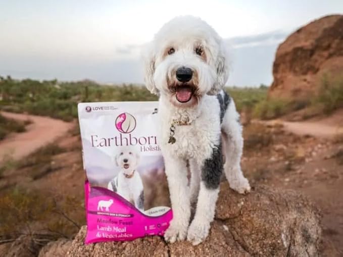 Earthborn Holistic Meadow Feast with Lamb Grain-Free Natural Dry Dog Food, 25 lb