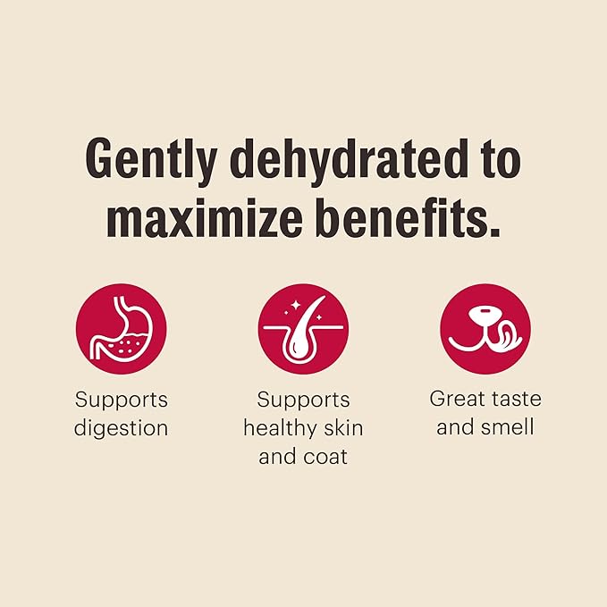 The Honest Kitchen Human Grade Wholemade™ Dehydrated Whole Grain Beef & Oat Dog Food, 7 lb Box