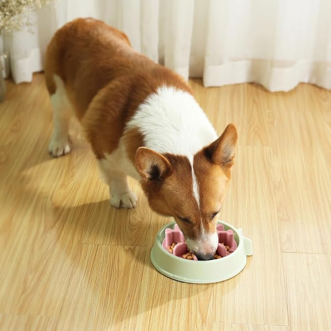 Soft Silicone Anti-Choking Puzzle Slow Down Eating Feeder Insert for Dogs, Compatible with Regular Elevated Dog Bowls