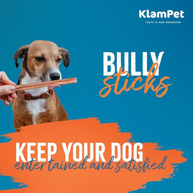 Bully Sticks for Dogs – 6" (15 Pack) 100% Natural Single-Ingredient Beef Dog Chews – Long-Lasting, Low Odor & Fully Digestible – Supports Dental & Joint Health (6" (15 Pack))