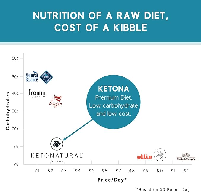 Ketona Salmon Recipe Adult Dry Dog Food, Natural, Low Carb (Only 5%), High Protein (46%), Grain-Free, The Nutrition of a Raw Diet with The Cost and Convenience of a Kibble; 4.2 lb