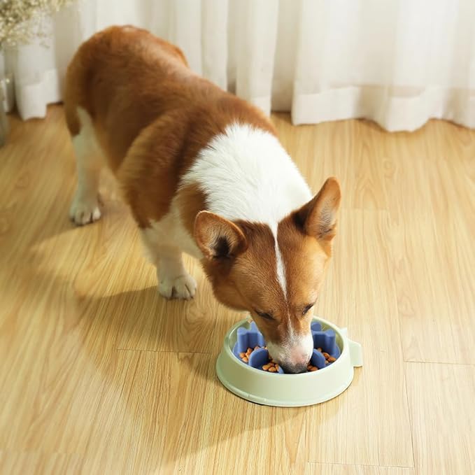 Soft Silicone Anti-Choking Puzzle Slow Feeder Insert, Compatible with Regular Elevated Dog Bowls No-Spill Design to Slow Down Eating