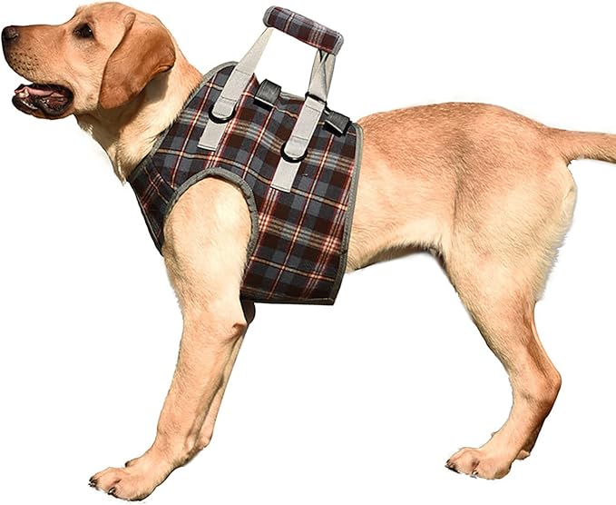 Dog Lift Harness, Adjustable Rear Leg Support Sling with Breathable Polyester, Mobility Aid for Disabled and Senior Dogs (L (20‑30kg / 44.1‑66.1lb Recommended))