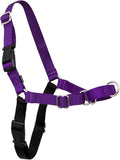 PetSafe Easy Walk Harness for Dogs - Pull-Free Walks - Patented Martingale Loop Design - Front Chest Leash Attachment - Comfort Straps - Breathable Harness Design - Medium, Deep Purple/Black