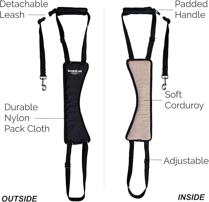 GINGERLEAD Dog Sling Hip Support Harness, SM Male fits Small to Medium Size Pets or Larger Barrel Chested Dogs Like Boxers or Bullies. Male Dachshunds use X-Small Size. Made in U.S.A.