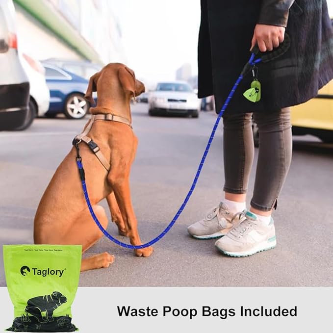Taglory Rope Dog Leash 5 FT with Comfortable Padded Handle, Highly Reflective Threads Leash and Anti-Tangle Clip for Walking Small Dogs, 3/8 inch, Navyblue