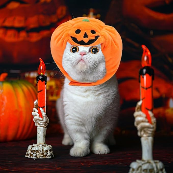 ALIBBON Cat & Dog Halloween Costume - Pumpkin Headdress & Cap for Puppy & Kitty Cosplay