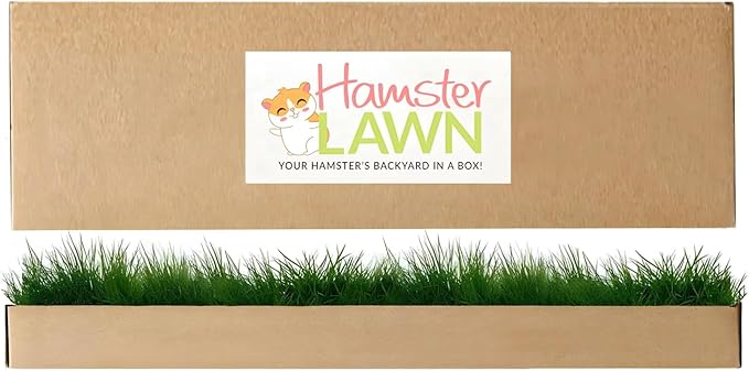DoggieLawn Natural Grass Mat for Small Pets - Fresh Real Grass Bed - Indoor/Outdoor Lounging Pad for Hamsters, Guinea Pigs & Other Small Animals - Disposable, Natural (Grande)
