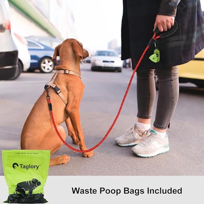 Taglory Rope Dog Leash 4 FT with Comfortable Padded Handle, Highly Reflective Threads Leash and Anti-Tangle Clip for Walking Small Dogs, 3/8 inch, Red