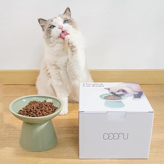CEEFU Extra Wide Elevated Ceramic Cat Food Bowl - 6.2" Shallow Dish for Whisker Fatigue Relief, 5" Height for Easy Feeding, Lead & Cadmium Free, Durable Raised Cat Food Bowls, Sage Green