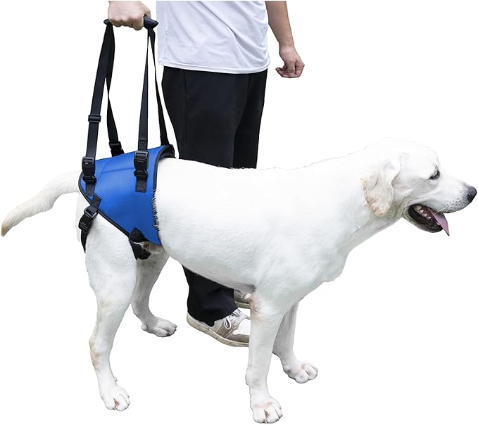 Dog Lift Harness, Dog Sling for Large Dogs Hind Leg Support, Adjustable Soft Padded Rehab Harness for Weak Rear Legs Elderly Injured Disabled Arthritic Dogs