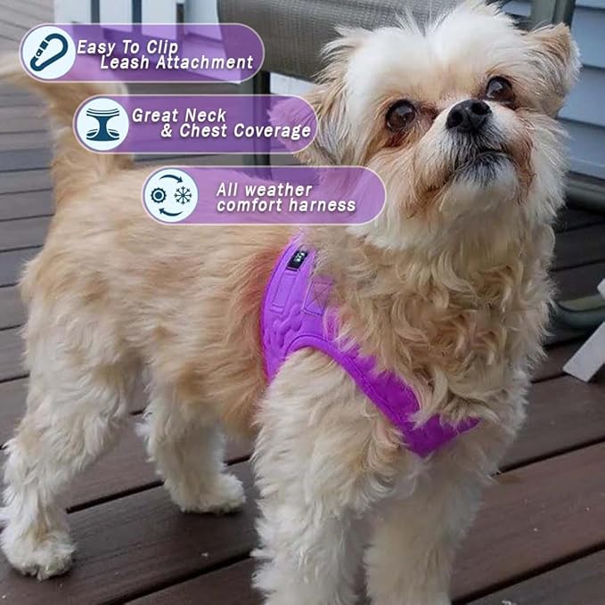 Comfort Fit All Weather Dog Harness No Pull Soft Padded Extra Comfort Step in Dog Harness with Adjustable Buckles Easy Control Vest Harness for Small Medium Large Dogs Inside Velvet Plush