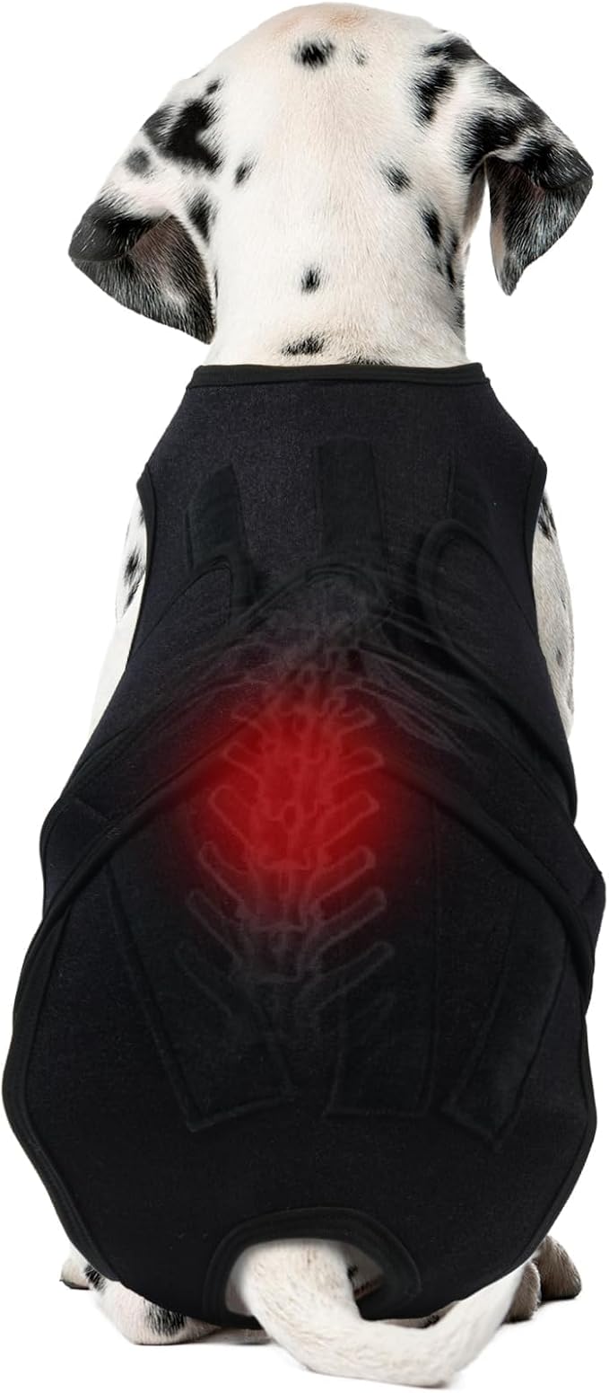 Dog Back Brace for IVDD & Spinal Recovery, Adjustable Breathable Support Vest Dog Lumbar Protector Helps Pain Relief, Pet Surgical Suit for Back Disease Prevention, Black L