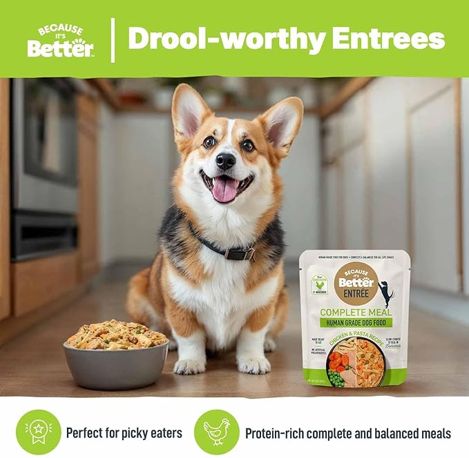 Because It's Better Entrée Complete Meal, Chicken & Pasta Recipe, Human Grade Wet Dog Food, 10 oz Pouches, 6 Count