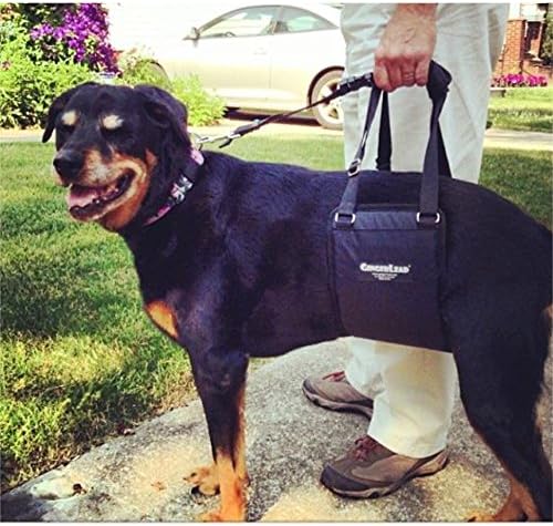 GINGERLEAD Dog Sling Support Harness, LG Female fits Big Dogs Over 65 lbs. Padded Rear Lift with Integrated Leash to Assist Senior K9s, or Recovery from Knee/TPLO, Hip or Back Surgery. Made in U.S.A.