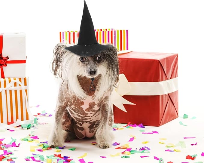 BESTOYARD Halloween Pet Hat Witch Hat for Dogs and Cats Adjustable Pet Headwear Reusable Washable Halloween Costume Accessory for Pets Party Cosplay