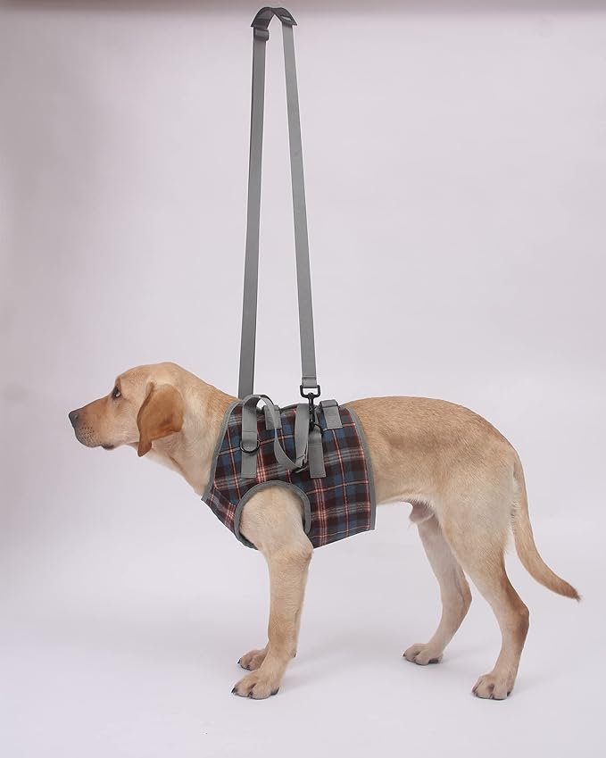 ROZKITCH Shoulder Belt Strap for Dog Lift Harness, Grid Pet Chest Rear Support Aid Veterinarian Approved Sling for Old K9 Help with Poor Stability 1 * 79 inch