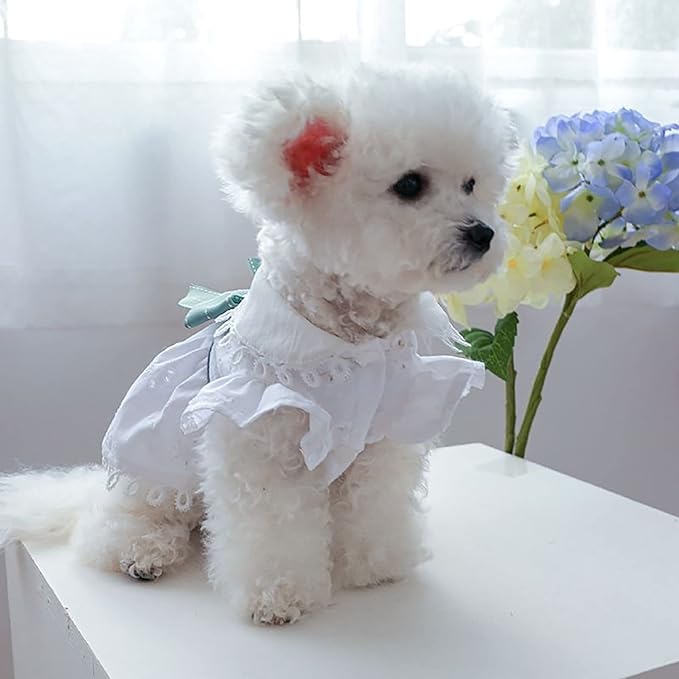 Dog Bowknot Princess Dress Summer Cute Pet Clothes for Small Dogs Elegant Puppy Sundress Holiday Breathable Lightweight Outfits Female Cat Dog Yorkie Chihuahua Dress Apparel