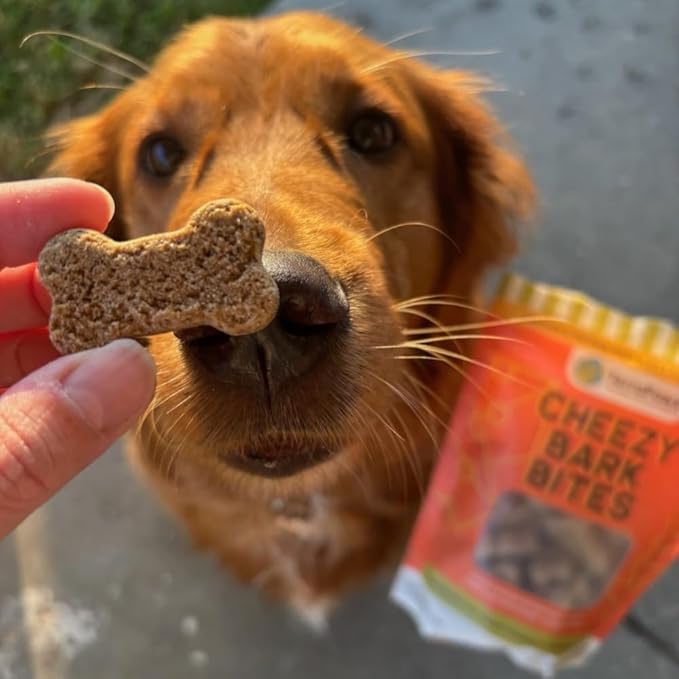 TerraPawz Vegan Dog Training Treats – Cheezy Flavor, Plant-Based Functional Treats with Chia & Flaxseed for Skin, Coat & Dental Health, Omega-Rich Treats for All Dog Sizes Including Large Breeds(8 oz)