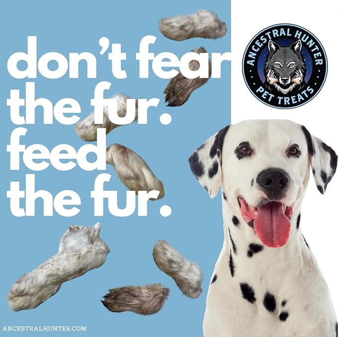Dehydrated Rabbit Feet for Dogs & Cats - Furry Rabbit Feet Dog Treats - Whole Rabbit Front Paws for Cats & Dogs - Pack of 12