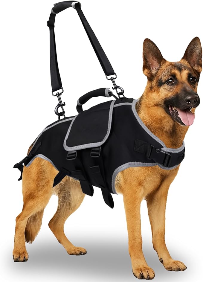 Full Body Dog Lift Harness - Help Large Dogs Up Adjustable Mobility Support Aid for Injured or Senior Dog and Dogs Hind Leg, Black L