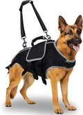 Full Body Dog Lift Harness - Help Large Dogs Up Adjustable Mobility Support Aid for Injured or Senior Dog and Dogs Hind Leg, Black L