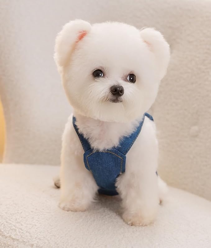 Dog Clothes Denim Dog Dresses for Small Dogs Harness Dress Puppy Clothes with Leash Ring Dog Costume with Pocket Summer Cat Apparel Dog Clothes Cat Shirts Small Dog Dresses Female Navy Blue Small