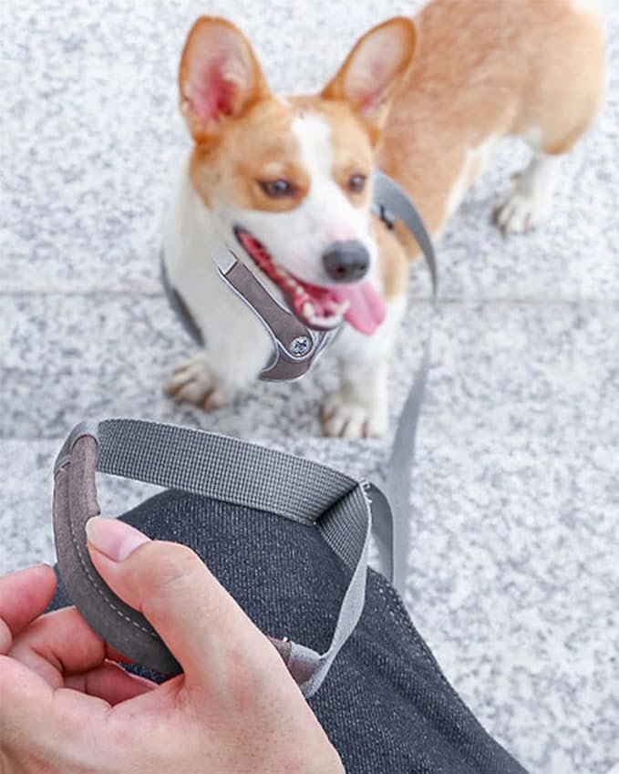 Dog Frenchie Harness and Leash Set,No Pull Adjustable Step in Soft Mesh Vest Harness,Easy Walk Reflective Pet Harness with Padded Handle for Walking Training Small Medium Large Dogs and Cats (Grey, M)